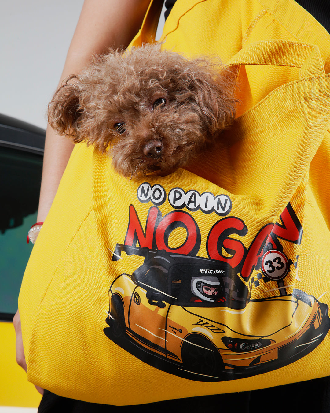 NPNG S2000CR Tote Bag *LIMITED STOCK* – #CHOIGANG